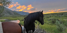 Canada-Yukon-Ogilvie Pack Trip